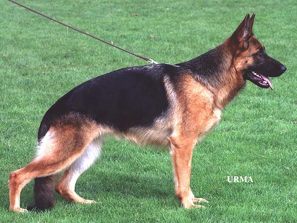 Kira von Lacroz