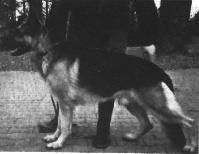 Xaver von Arminius