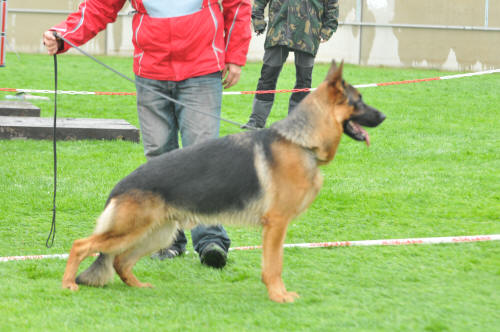 Vanos van Noort