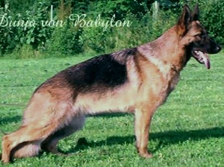 Dunja von Babylon