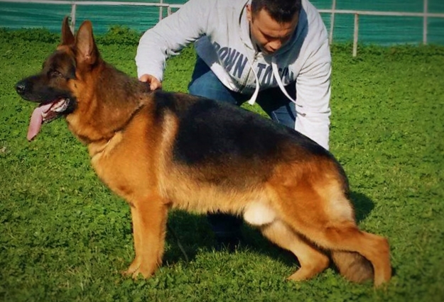 Uran di Casa Cesira