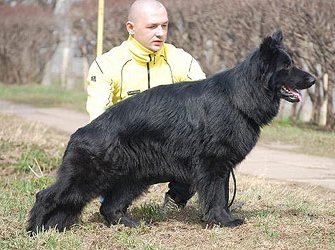 Zilber Vasserfal Tsekhey