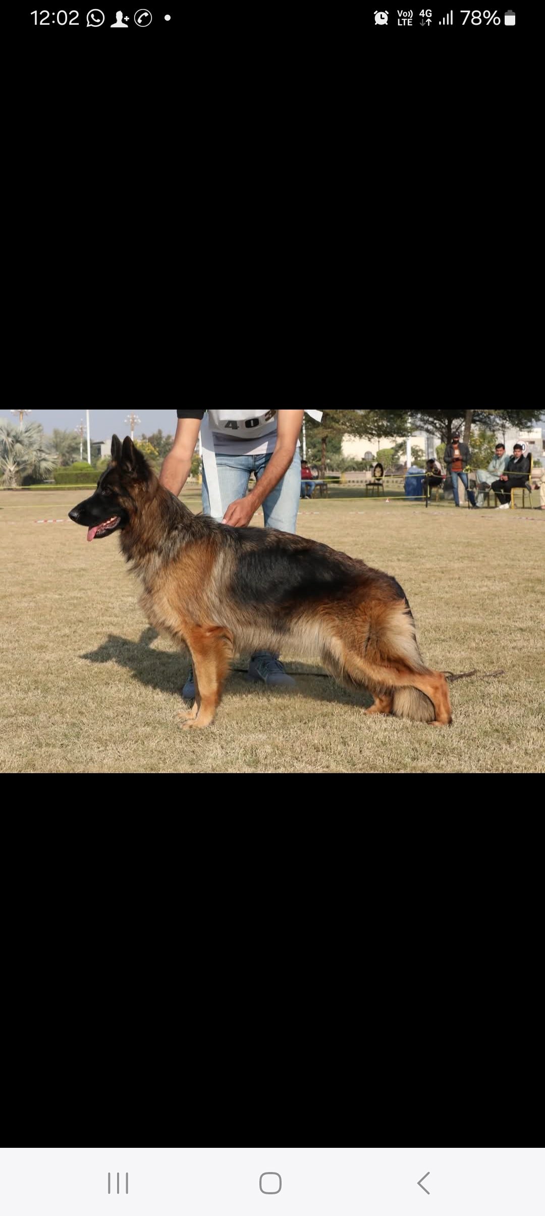 Bella vom King's Bourne