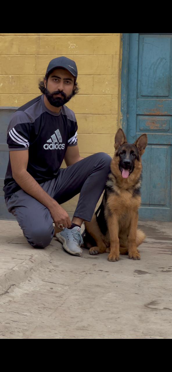 Image not found