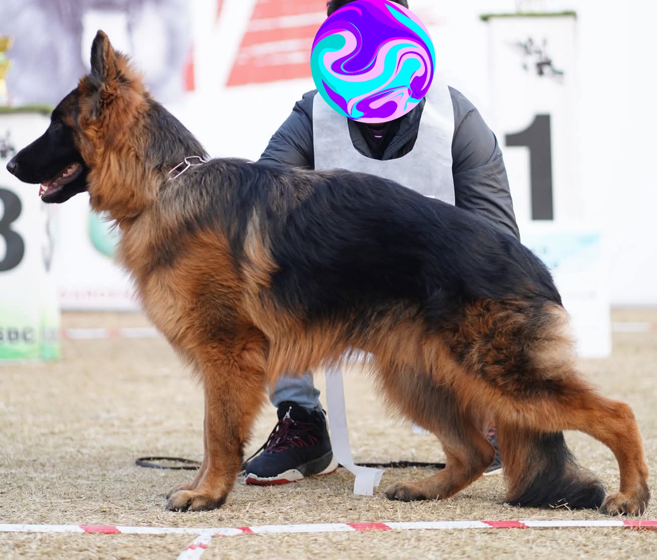 Cash von Team Islamabad