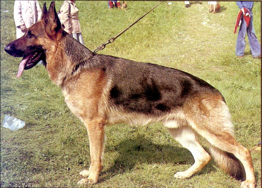 Image not found