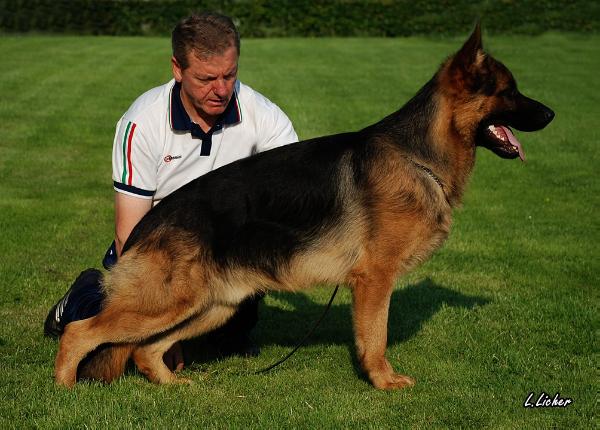 Erik vom Nordteich