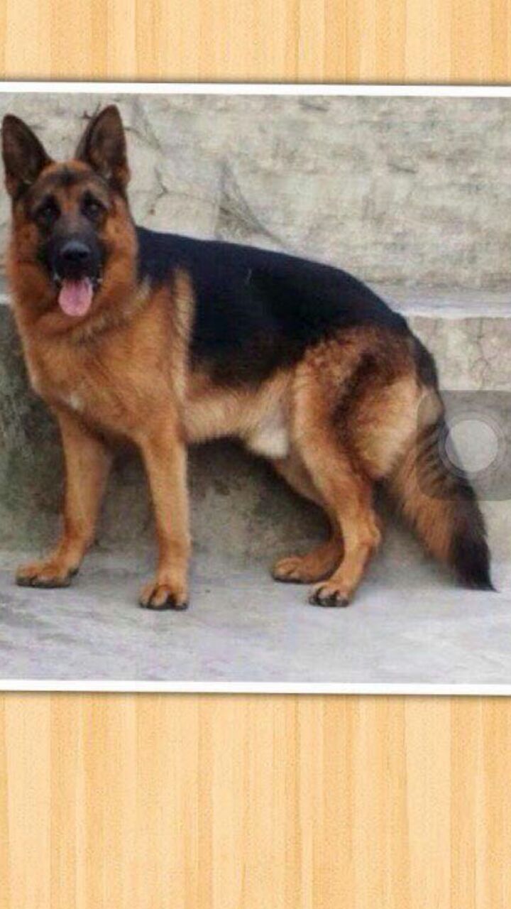 Image not found
