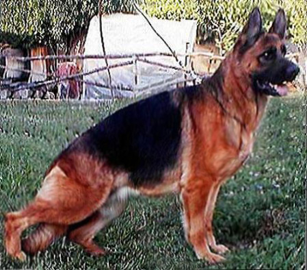 Chipsy d' Altavilla