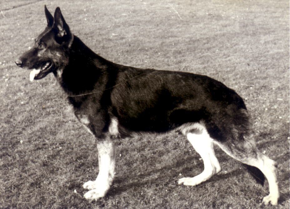 Bernd vom Lierberg