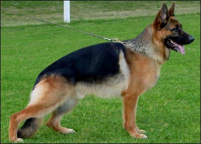 Ex von Arline