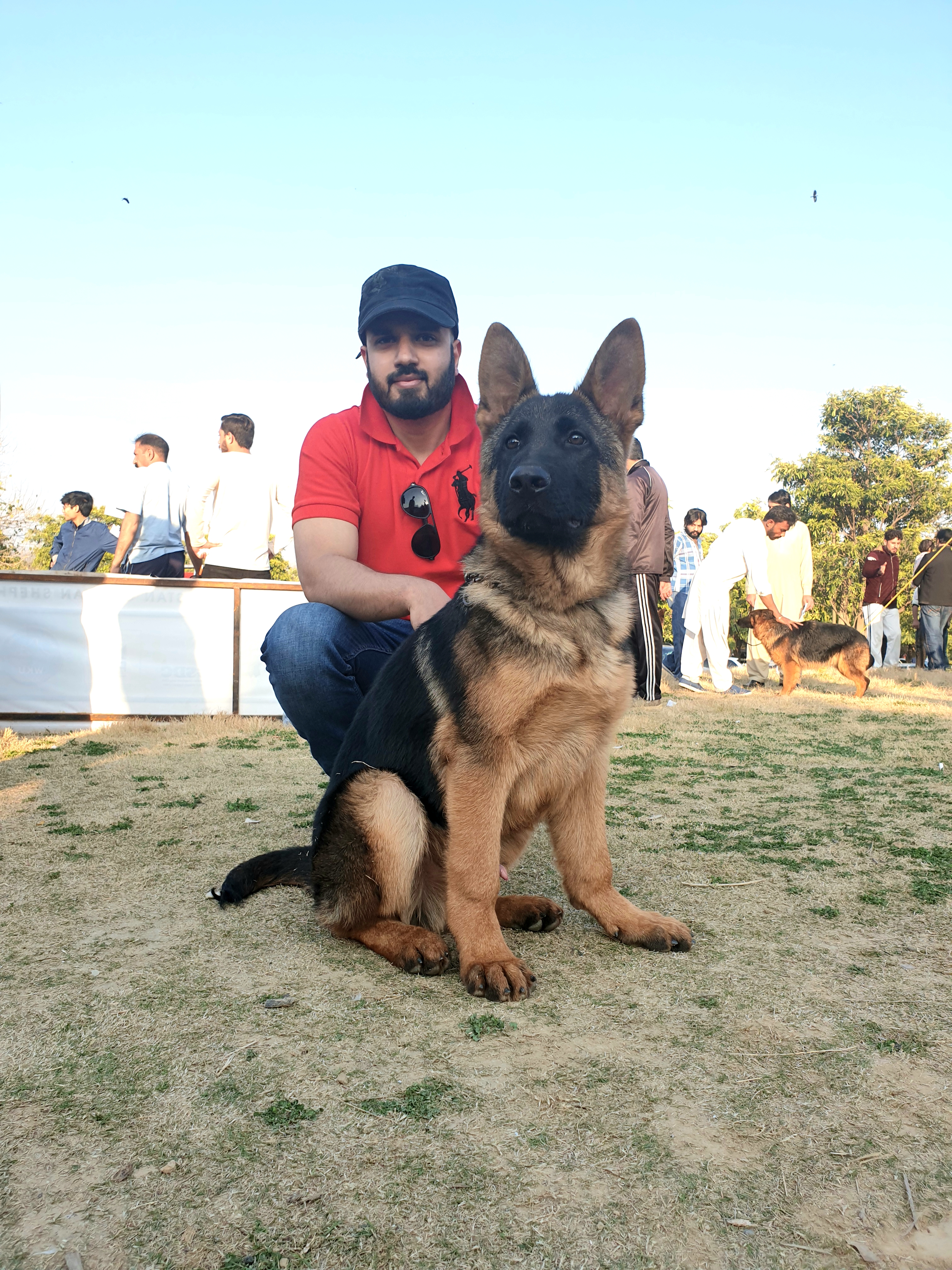 Asad