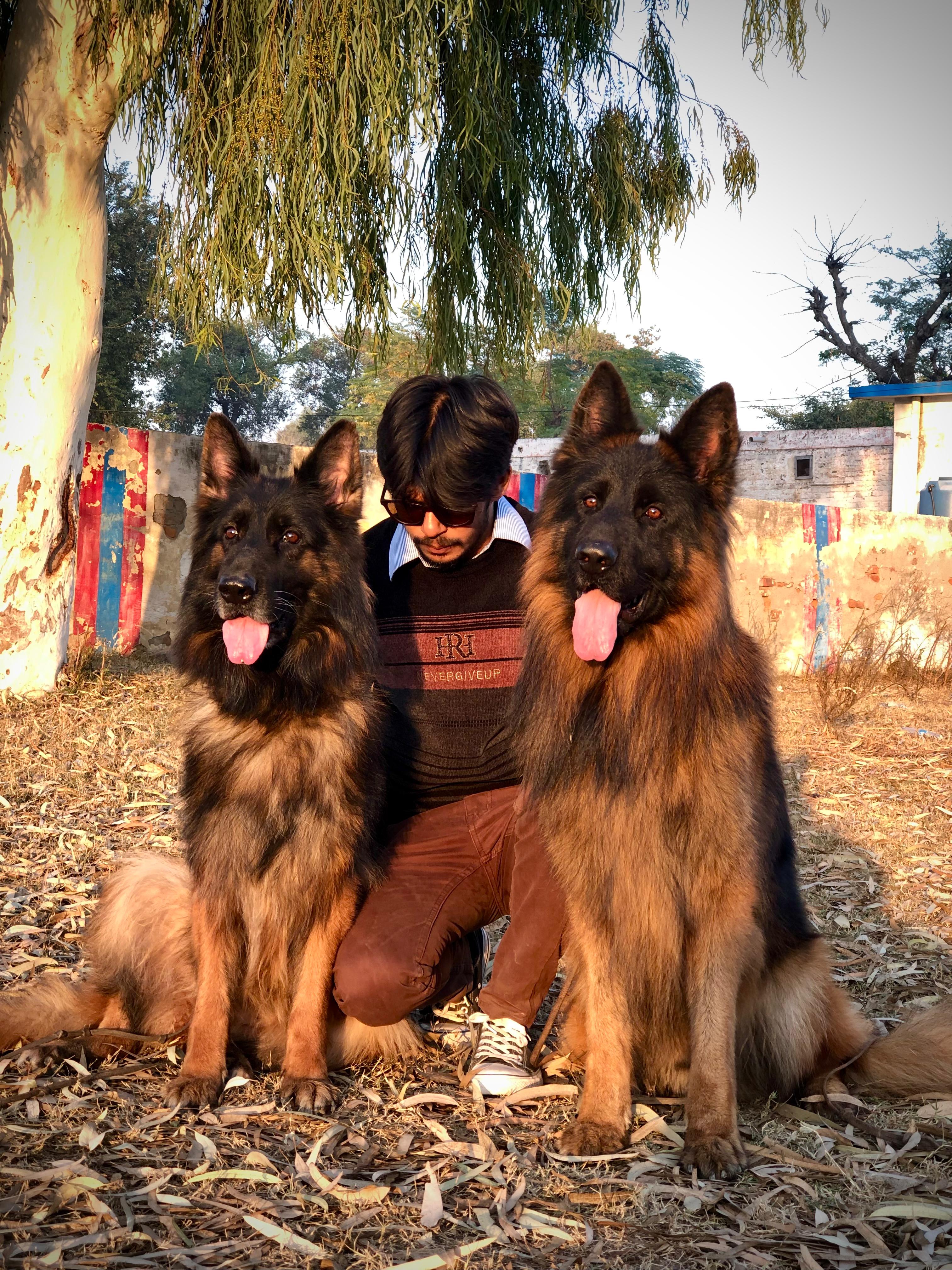 https://www.gsdcp.org/public/members/profile_pic/1734184091.IMG-20241126-WA0048.jpg